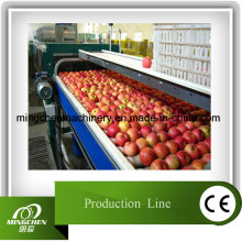 Chaîne de production automatique de jus de pomme de puissance